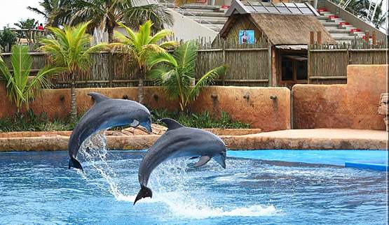 uShaka Marine World in Durban.